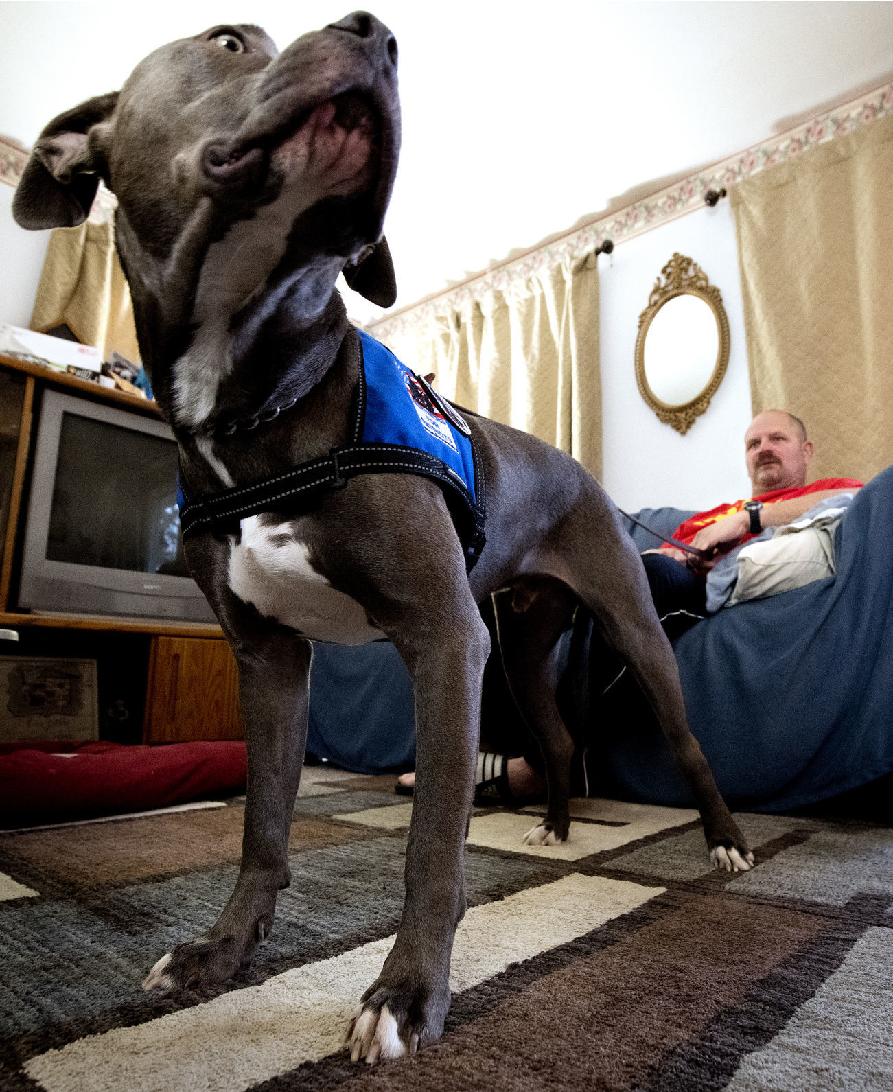 Service dog James Larrabee